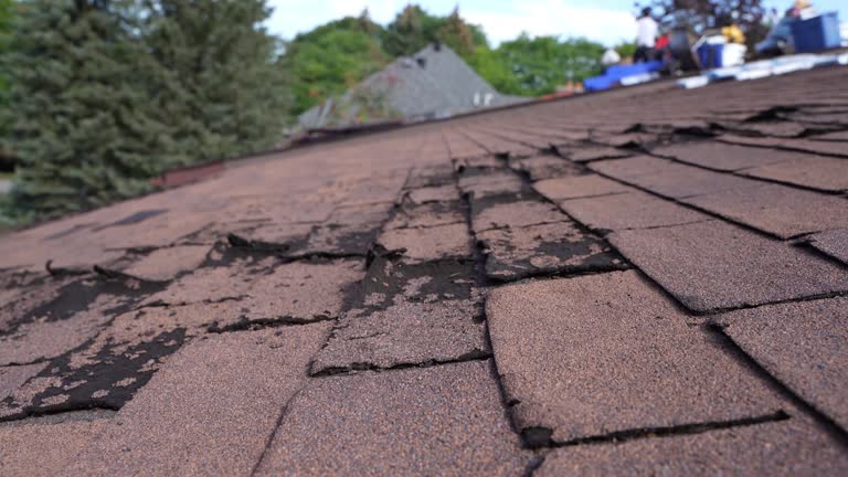 Best Rubber Roofing (EPDM, TPO)  in Bay Minette, AL