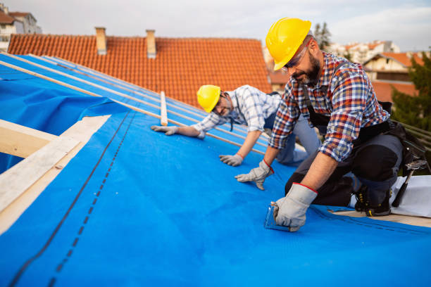 Fast & Reliable Emergency Roof Repairs in Bay Minette, AL