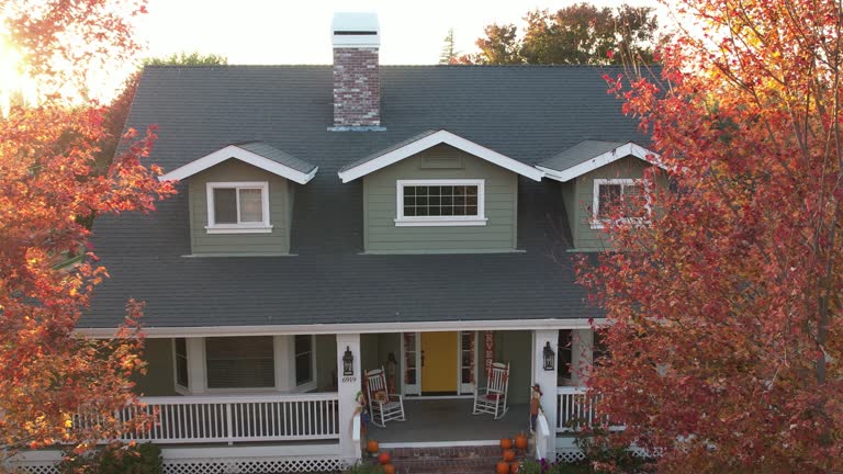 Best Roof Maintenance and Cleaning  in Bay Minette, AL