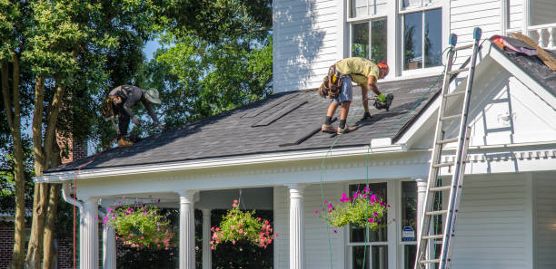 Best Roof Ventilation Installation  in Bay Minette, AL